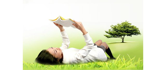 바이벅스이미지