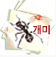 개미