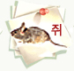 쥐